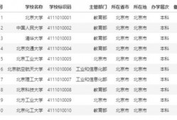 神子技能爆料数据最新,神秘力量觉醒，战力再升级！